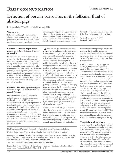 Detection of porcine parvovirus in the follicular fluid of abattoir pigs