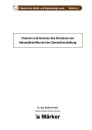 Chancen und Grenzen des Einsatzes von Sekundärstoffen bei der ...