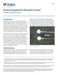 Rearing Copepods for Mosquito Control1 - EDIS - University of Florida