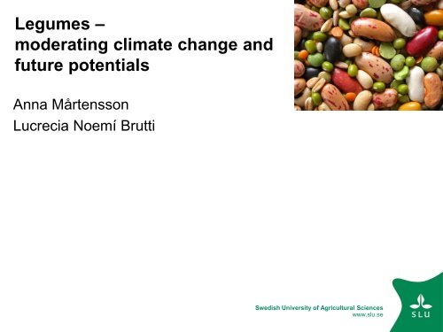 Legumes - INTA