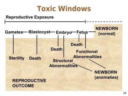 Lecture 7: Reproductive and Developmental Toxicology (Yager)