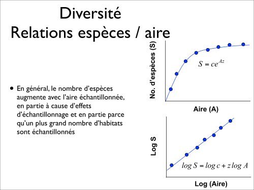 Biodiversité: tendances et processus