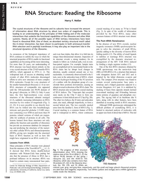 structure of the ribosome