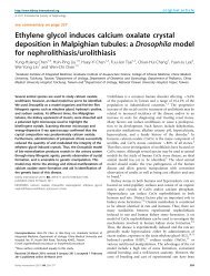 Ethylene glycol induces calcium oxalate crystal deposition in ...