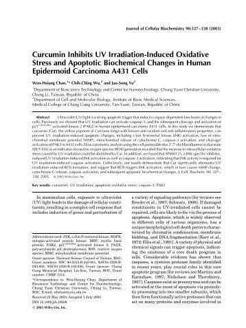 Curcumin Inhibits UV Irradiation-Induced Oxidative Stress and ...