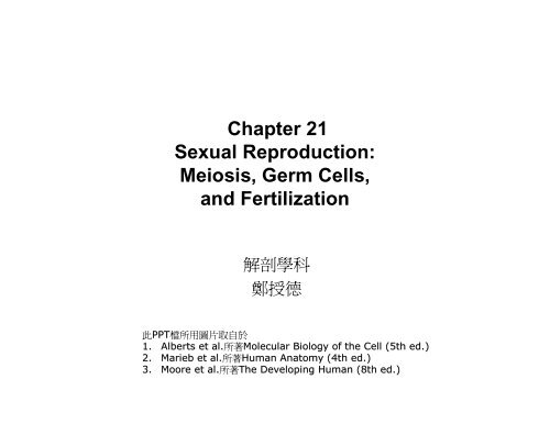 Meiosis, Germ Cells, and Fertilization