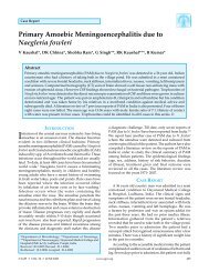 Primary Amoebic Meningoencephalitis due to Naegleria fowleri