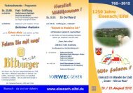 Flyer und Programm zum Festwochenende 