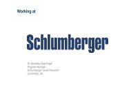 Schlumberger Imperial College Developing Your Research Career ...