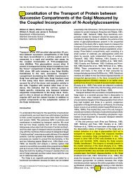 Reconstitution of the Transport of Protein between Successive ...