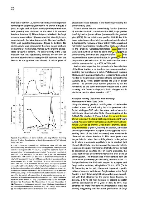 Reconstitution of the Transport of Protein between Successive ...