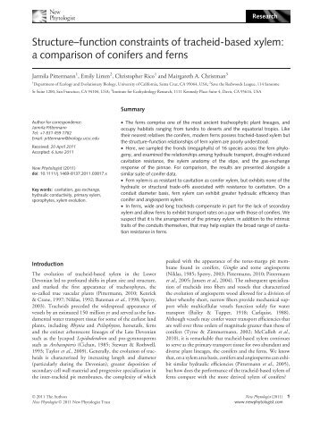 Structure–function constraints of tracheid-based xylem - Division of ...