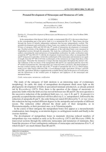 Prenatal Development of Metacarpus and Metatarsus of Cattle