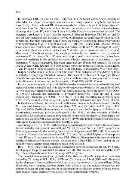 Prenatal Development of Metacarpus and Metatarsus of Cattle