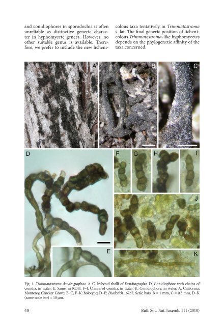 Four new lichen-associated Trimmatostromaspecies ... - SNL