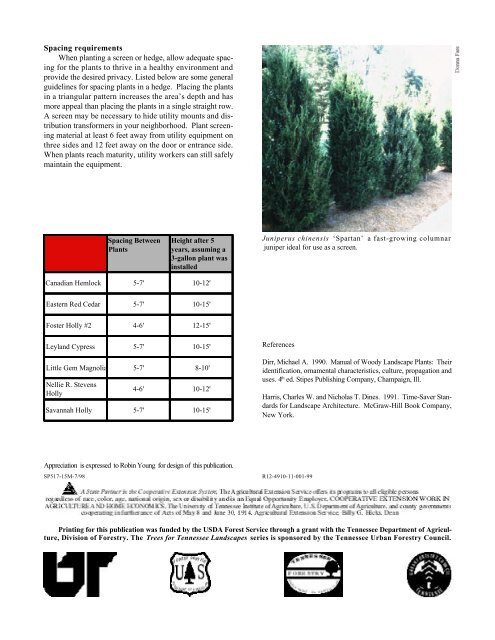Evergreen Trees for Screens and Hedges in the ... - UT Extension