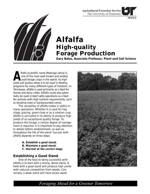 Alfalfa - High-quality Forage Production - UT Extension - The ...