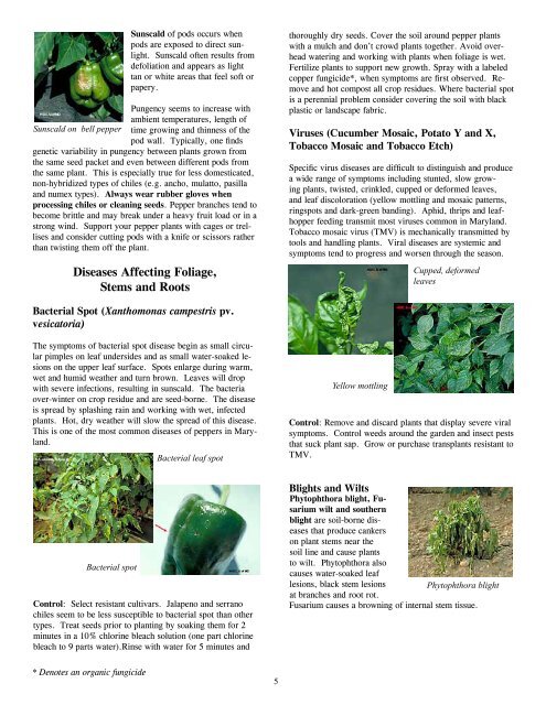 IPM Series: Peppers (HG 57) - University of Maryland Extension