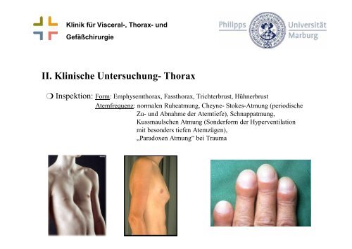 und Gefäßchirurgie II. Klinische Untersuchung