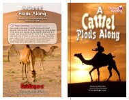 A Camel Plods Along