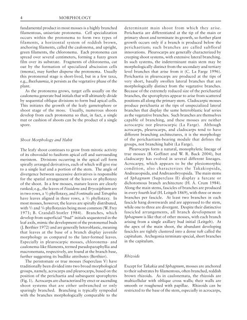 Morphology of Mosses (Phylum Bryophyta)