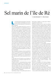 Sel marin de l'île de Ré - L'Actualité Poitou-Charentes