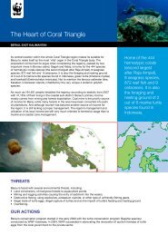 The Heart of Coral Triangle - WWF Indonesia