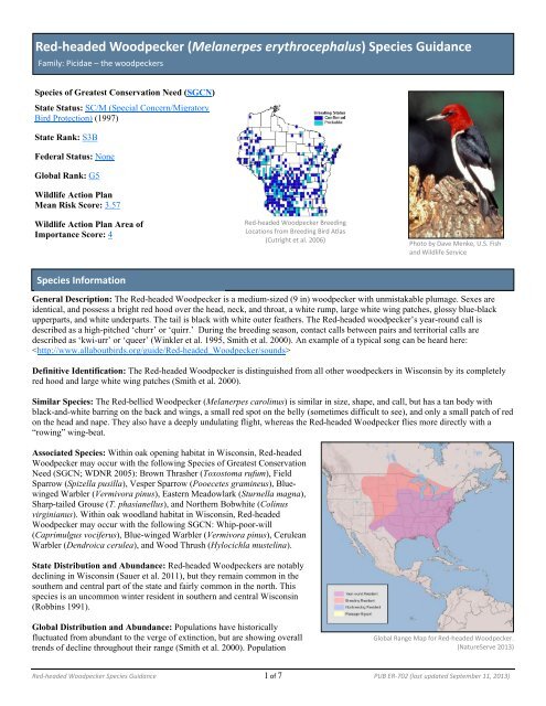 Red-headed Woodpecker - Wisconsin Department of Natural ...