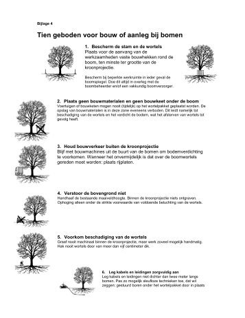 bijlage 4 tien geboden voor bouw of aanleg bij bomen [Klik hier om ...