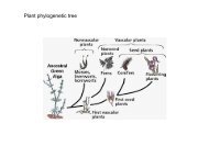 Lecture 10-12Aquatic Macrophytes.pdf