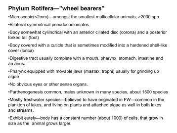 Lecture 16-Rotifers.pdf - Classes at U. of L.