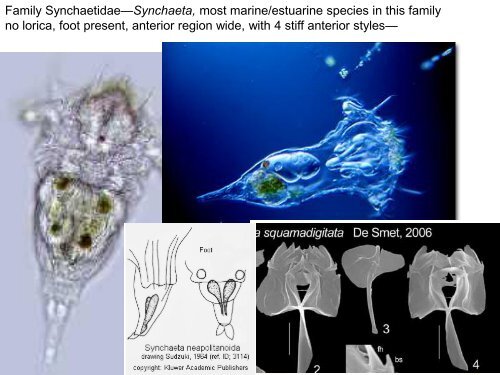 Lecture 16-Rotifers.pdf - Classes at U. of L.