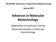 Advances in Molecular Biotechnology_2013.pdf - Classes at U. of L.