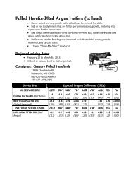 Polled Hereford/Red Angus Heifers - University of Missouri Extension