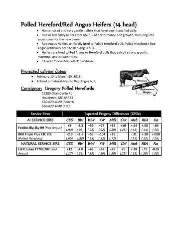 Polled Hereford/Red Angus Heifers - University of Missouri Extension