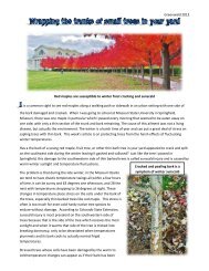 Wrapping the trunks of small trees in your yard (PDF) - University of ...