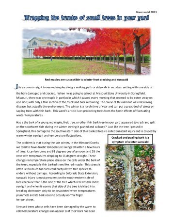 Wrapping the trunks of small trees in your yard (PDF) - University of ...