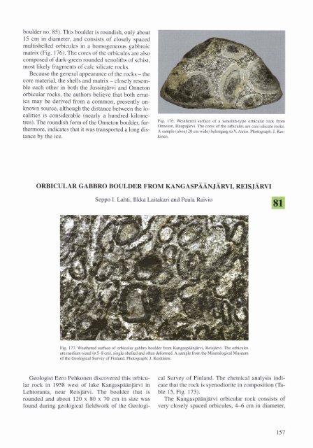 xenolith-type orbicular gabbro boulder from jussinjärvi ... - Arkisto.gsf.fi
