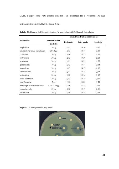 caratterizzazione molecolare e studio dell - Università degli Studi di ...