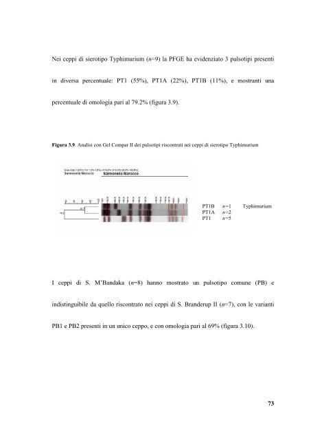 caratterizzazione molecolare e studio dell - Università degli Studi di ...