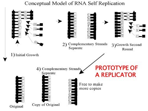 The Selfish Gene and The Evolution of Cooperation - Online.itp.ucsb ...