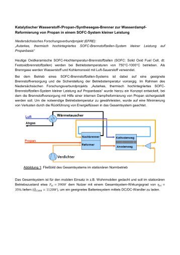 Katalytischer Wasserstoff-/Propan-/Synthesegas-Brenner zur ...