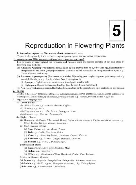 Reproduction in Flowering Plants