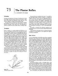 73 The Plantar Reflex