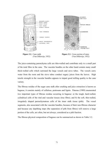 Lynne Wong's PhD thesis