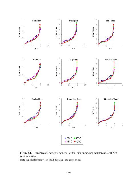 Lynne Wong's PhD thesis