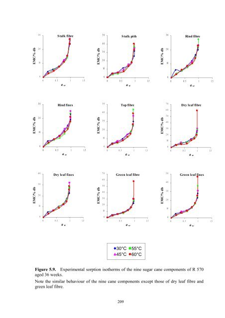 Lynne Wong's PhD thesis