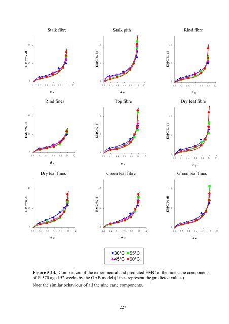 Lynne Wong's PhD thesis