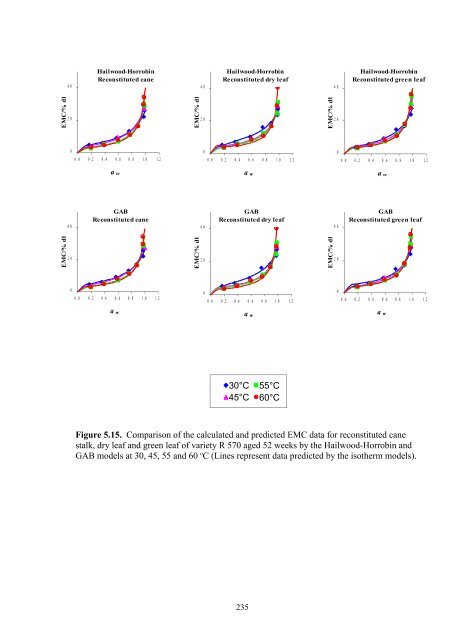 Lynne Wong's PhD thesis