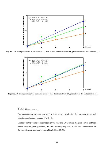 Lynne Wong's PhD thesis